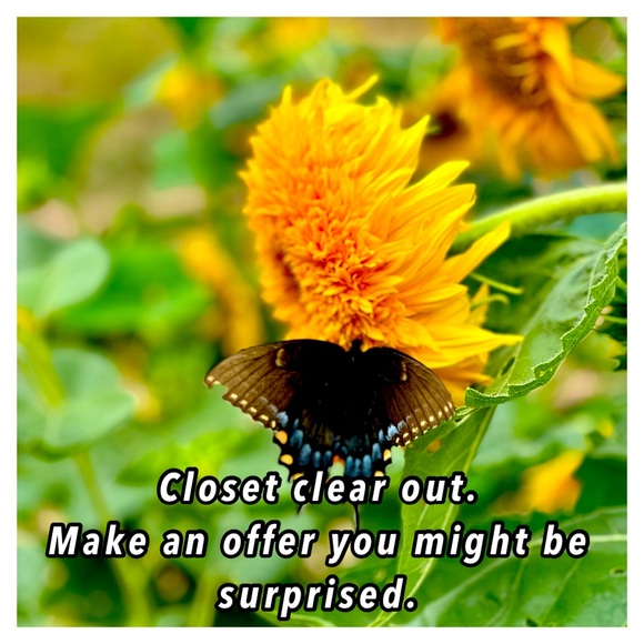 Sunflower and Butterfly Art Print - Picture 1 of 1